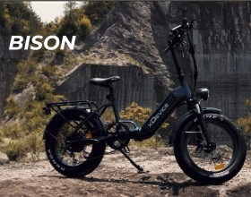 E-bike Bison